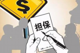 柳南如何避免债务纠纷？专业追讨公司教您应对之策