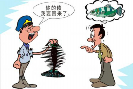 柳南柳南的要账公司在催收过程中的策略和技巧有哪些？